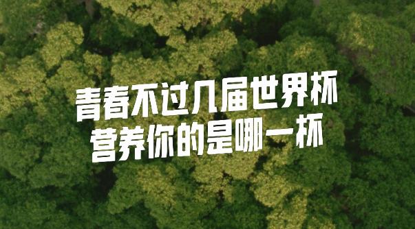 世界杯足球员故事,世界杯队长纪录片第四集