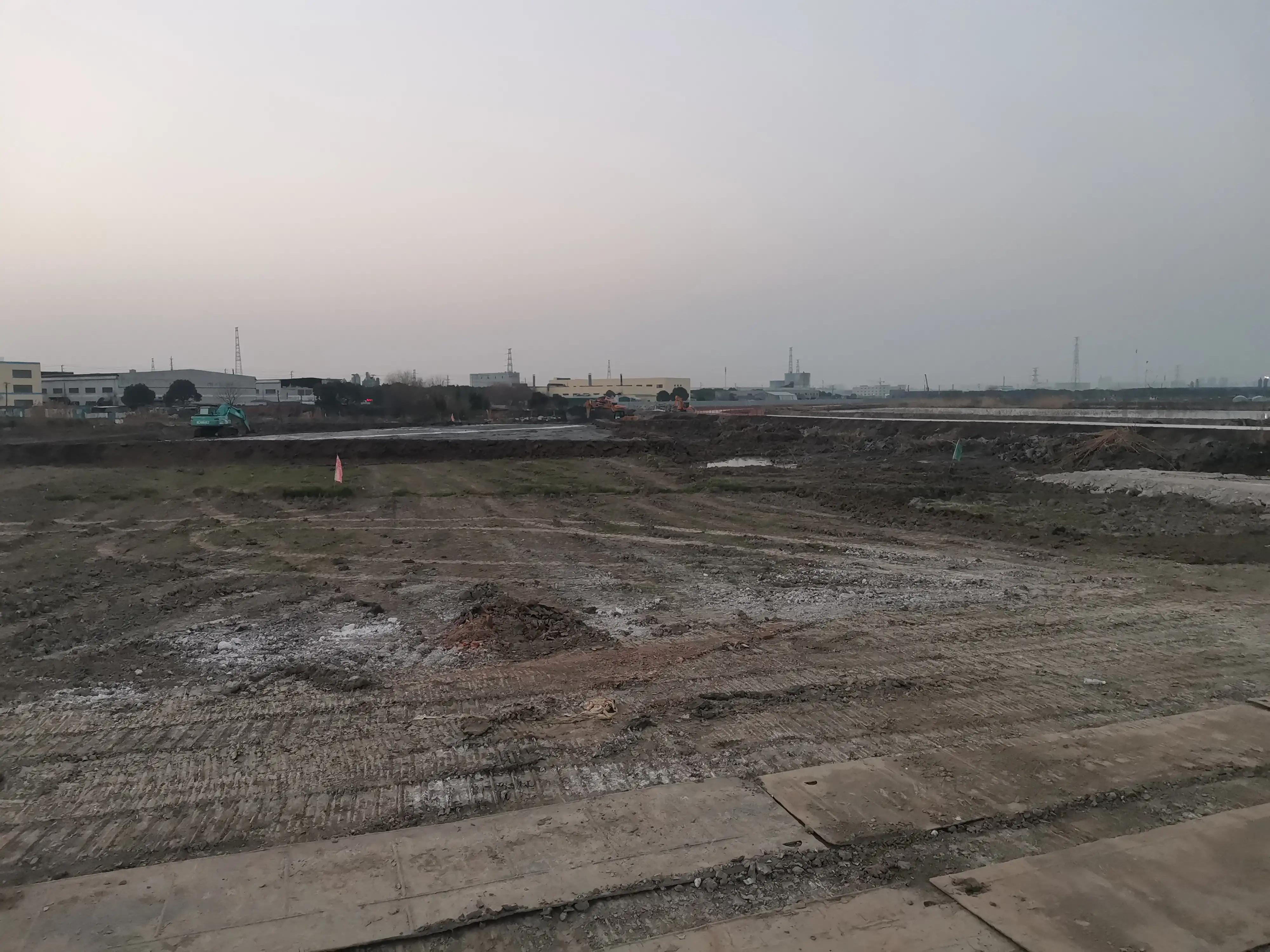 春风又绿江南岸原片,春风又绿江南岸张蓓蓓