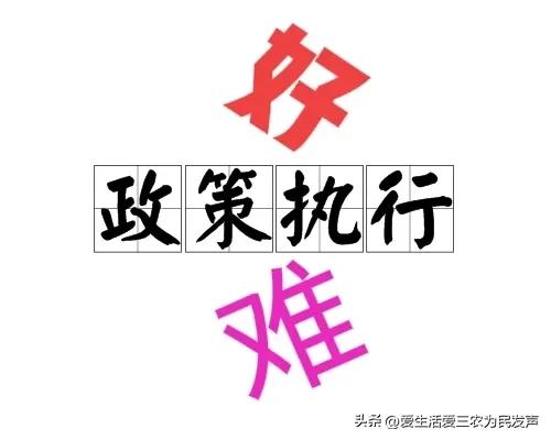 为民发声合集,为民发声办实事