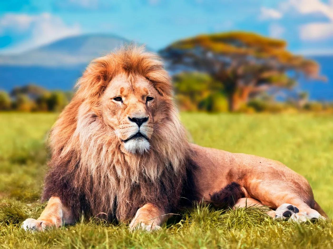 实现真正的一键抠图去背景,python图像切片抠图