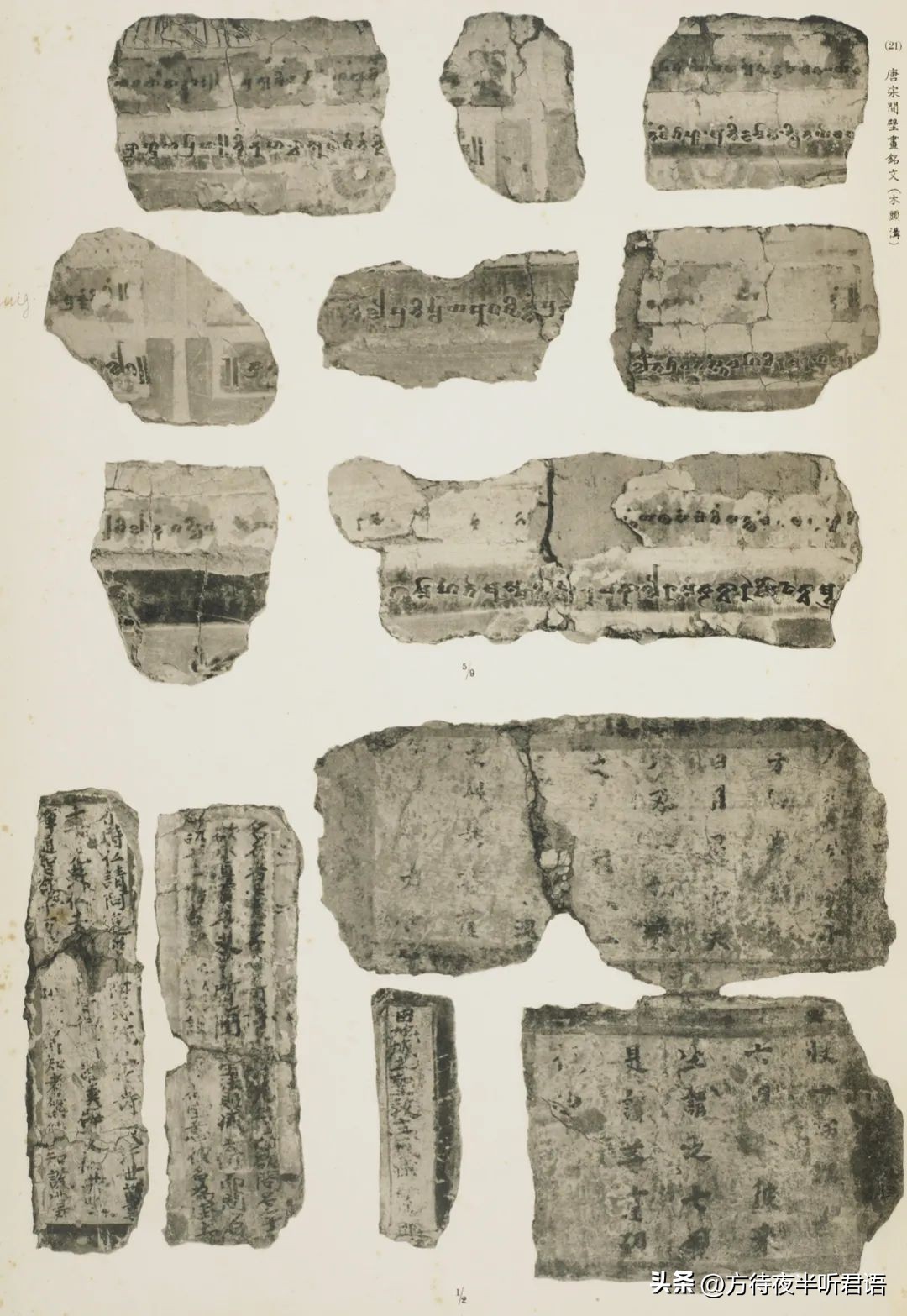 日本大谷光瑞探险队,日本大谷探险队