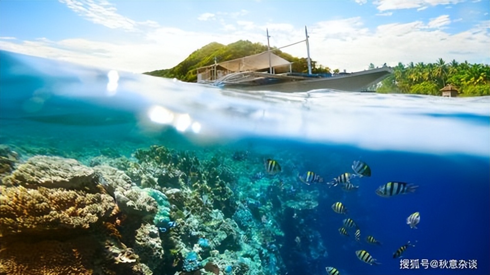 第二次去菲律宾需要之前的签证吗,持学生签证入境菲律宾