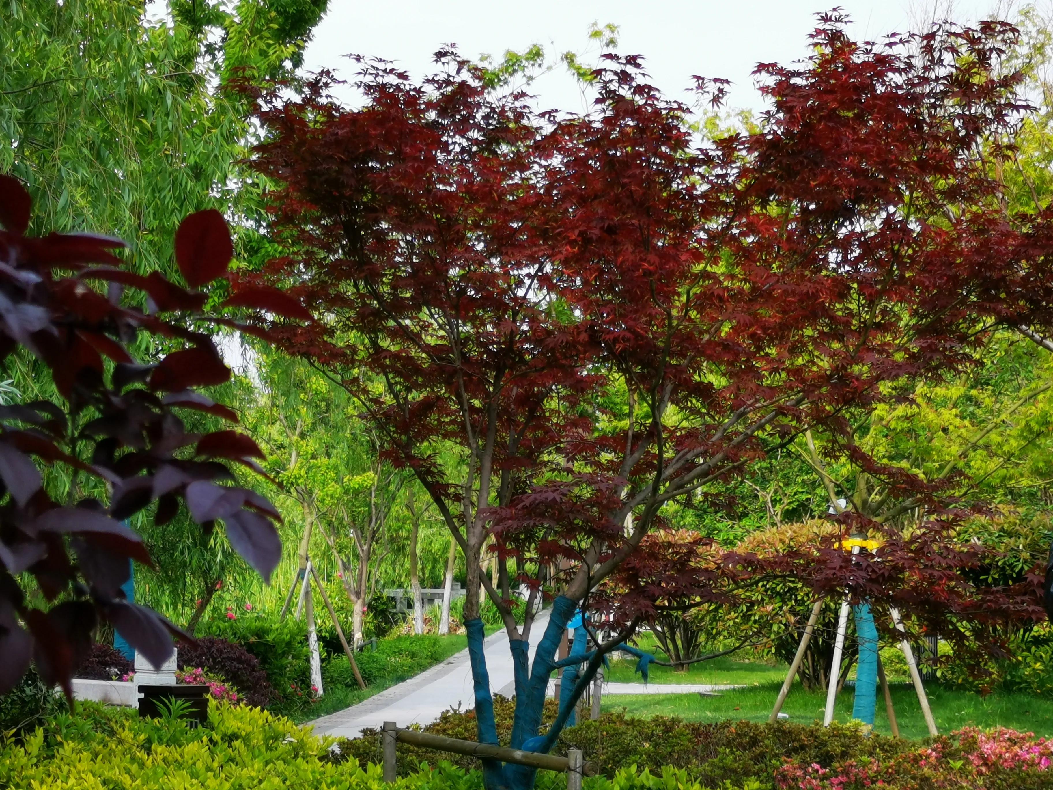 别人给你送礼物怎么高情商回绝,别人给你送礼物该怎么感谢