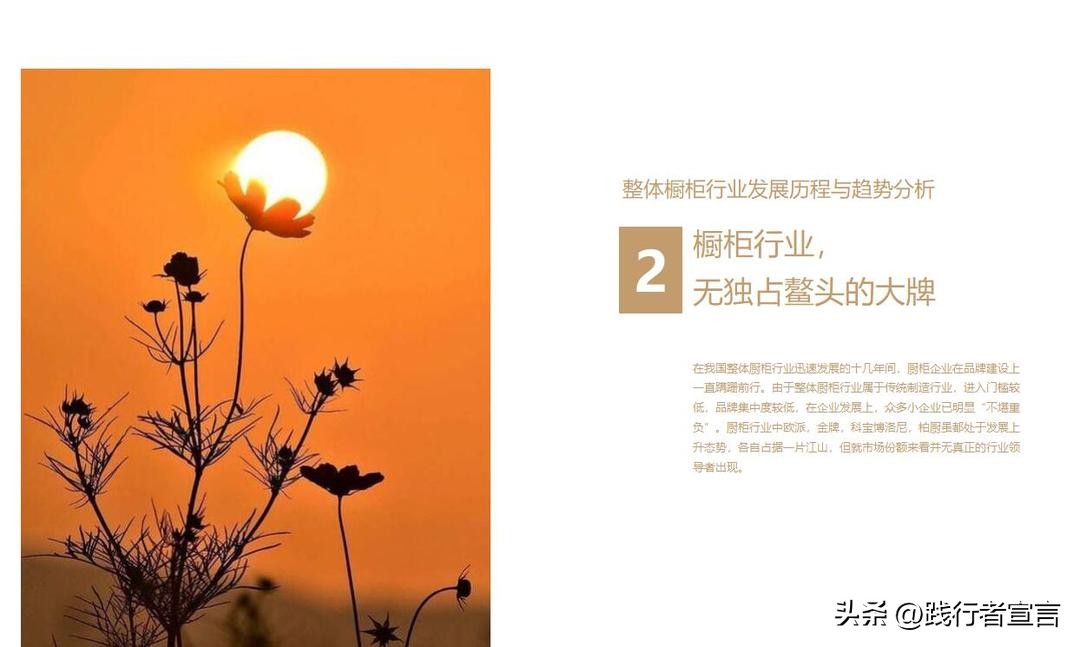 品牌招商加盟政策模板,加盟商招商策划书