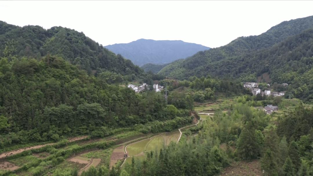 贵州女子远嫁江苏,贵州女人远嫁贫困山区