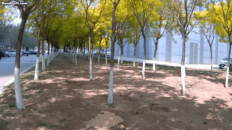 别的牌子，肯定是要单独大赚一笔，SJCAM：白送！