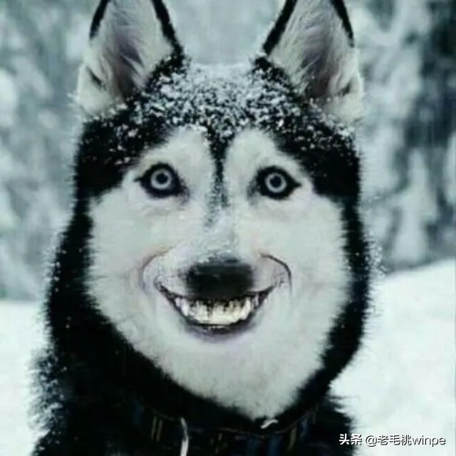 128mb显存可以跑8万分,128mb内存安装xp