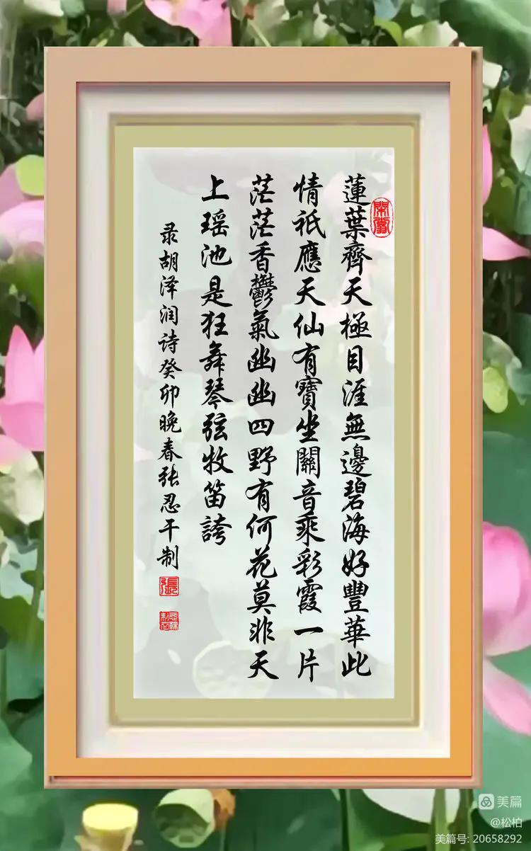 诗图战友情（九十五）荷花别样红