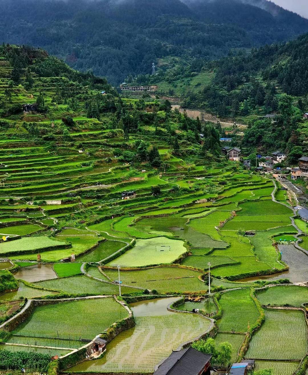深圳到贵州三日游有哪些地方玩儿,贵州玩儿的地方