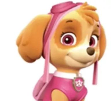 汪汪队立大功狗狗都是什么品种,汪汪队中的11个狗狗品种