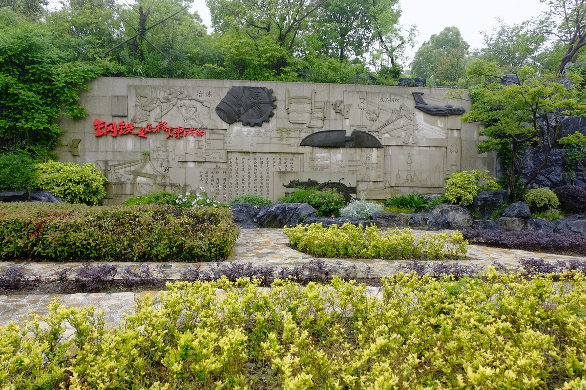 上海附近的森林秘境,上海惊现的森林秘境