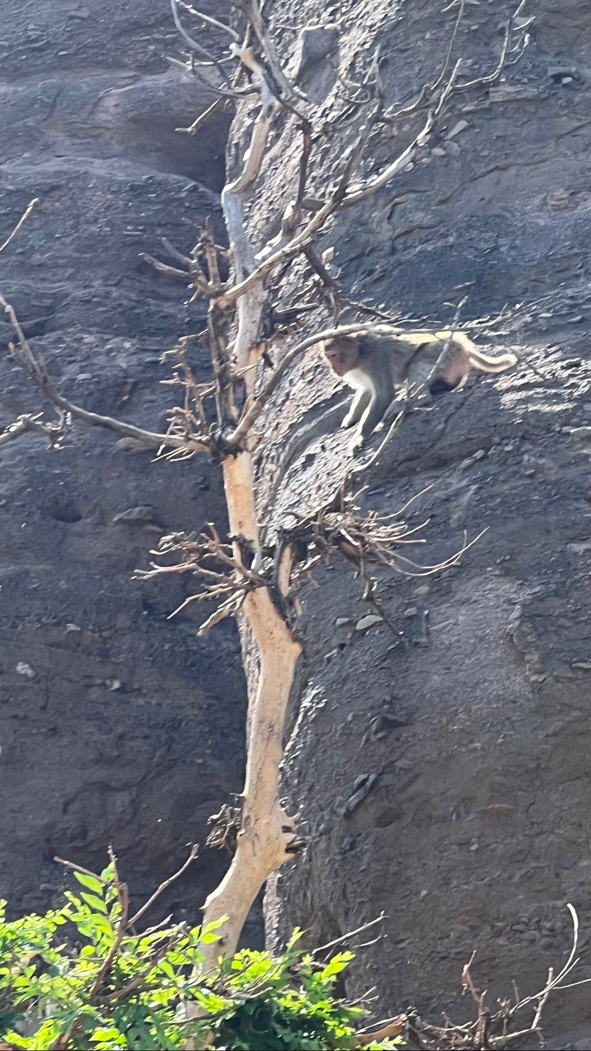 走近承德双塔山作者/李友珍