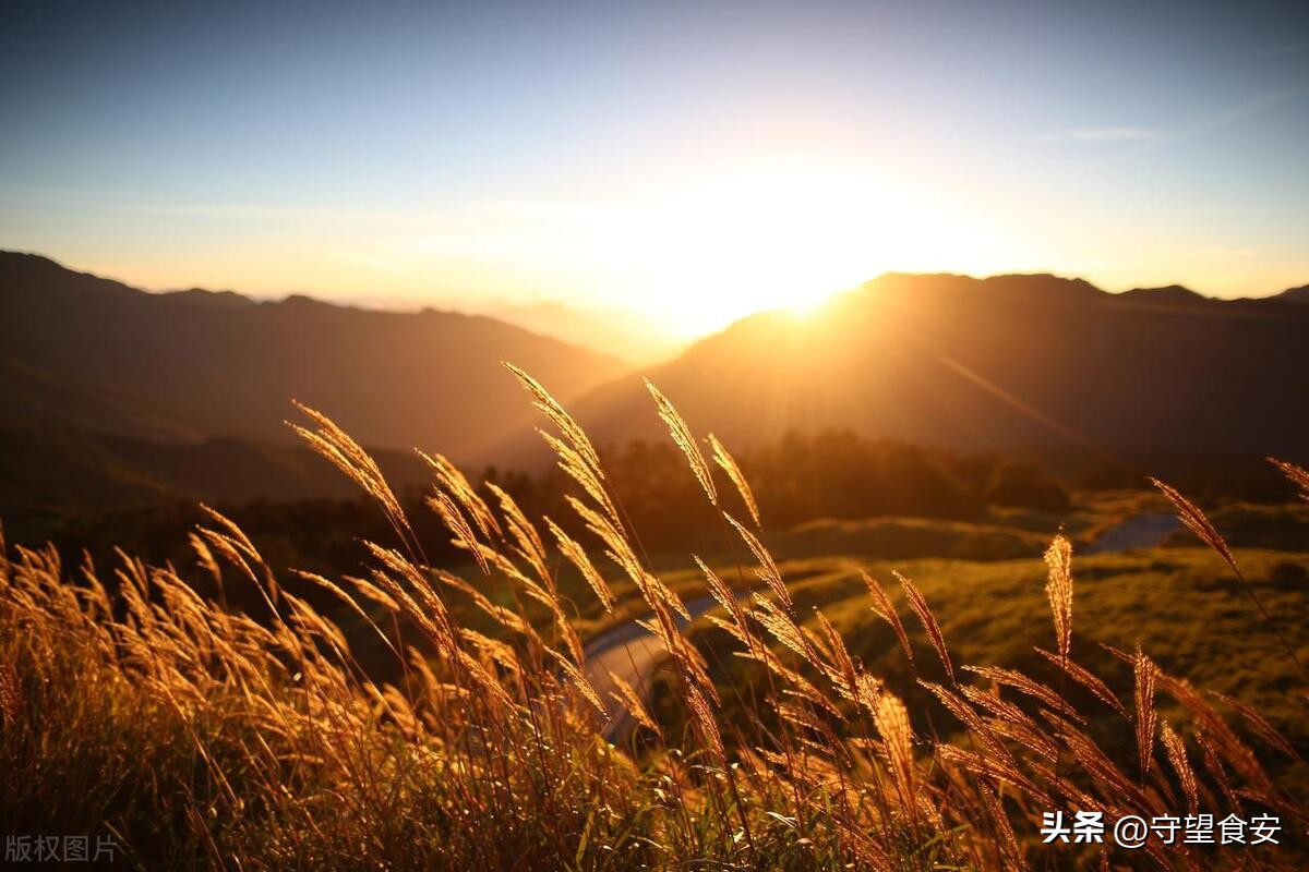 三月三是民间习俗还是民间风俗,三月二十四传统习俗