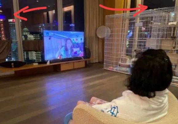 郭晶晶豪门地位有多高,郭晶晶的豪宅照片