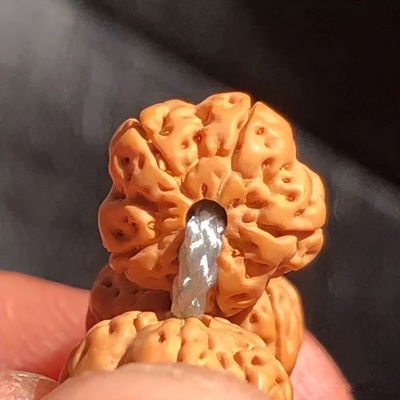 金刚菩提四大名品是什么,金刚菩提入门文玩