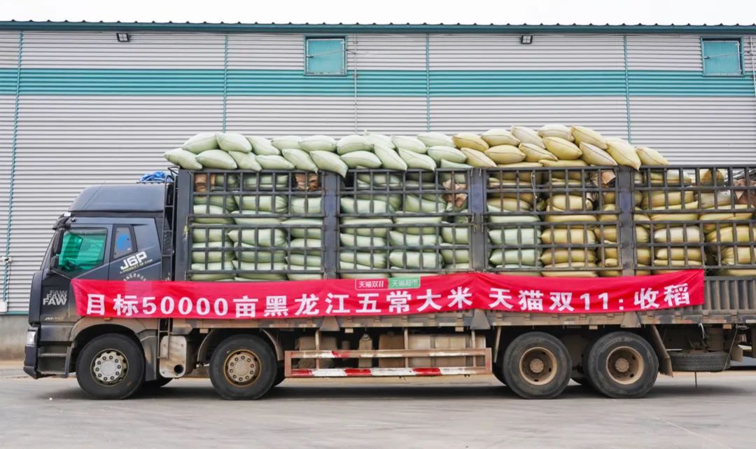 每个人都很优秀文案短句,每个人都很出众文案