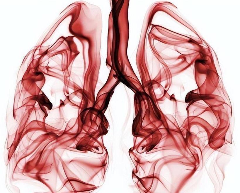 头发干枯与肺有联系吗,头发稀少和肺有关系吗