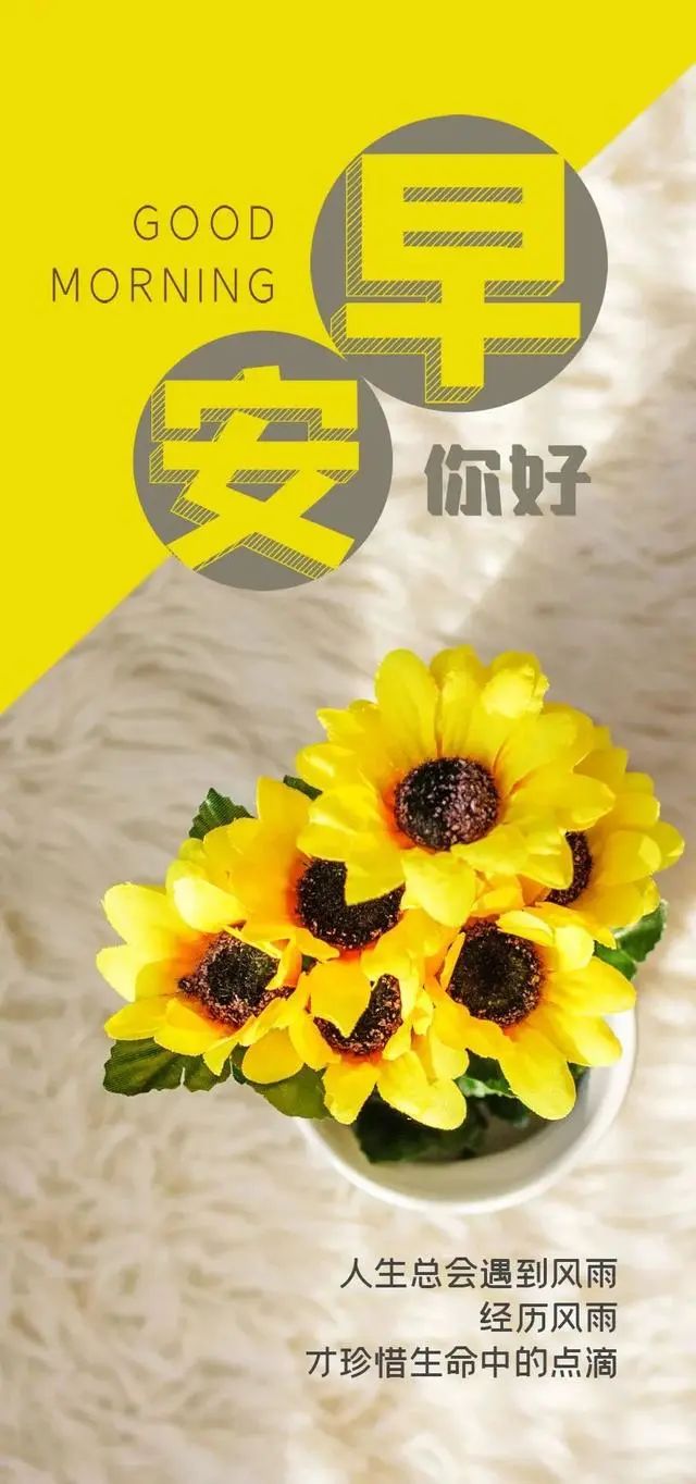 早安的句子跟图片朋友圈正能量,早安正能量的短句子心语图片大全
