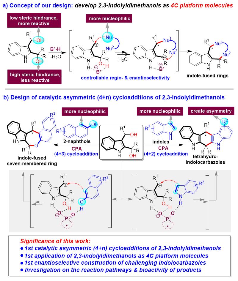 吲哚二甲醇参与的催化不对称,4+n环加成反应