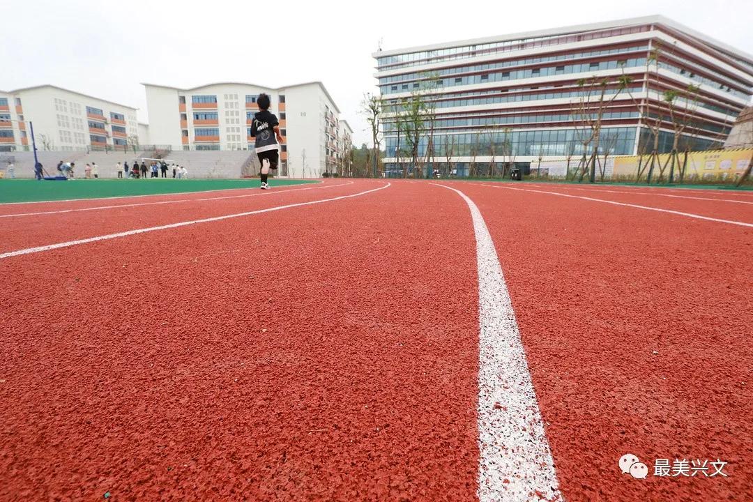 兴文学校,兴文新学校在哪里