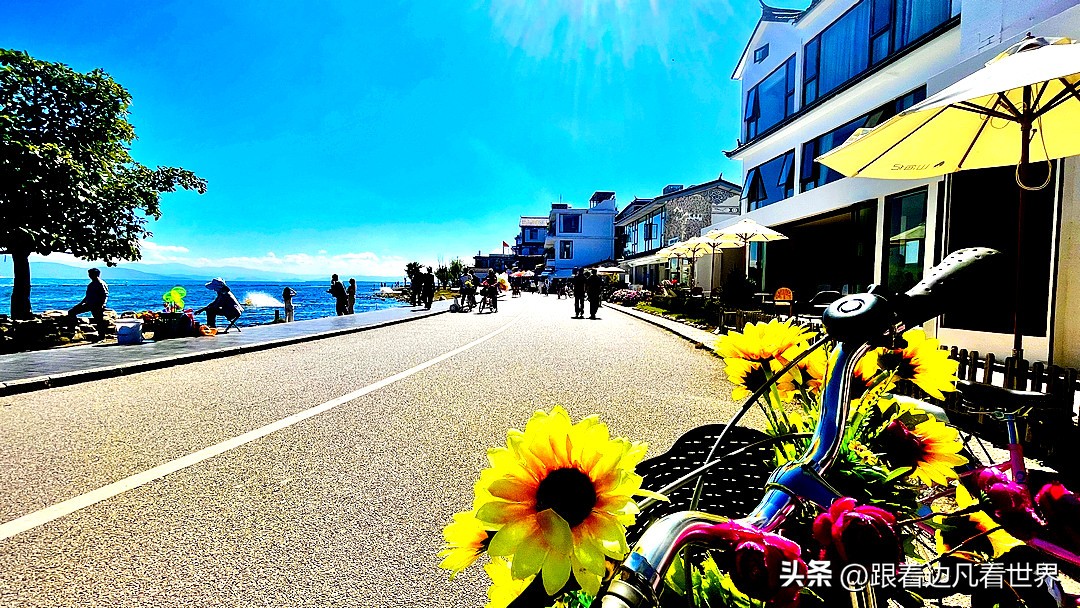 洱海风景白族民居画,云南大理洱海白族民居