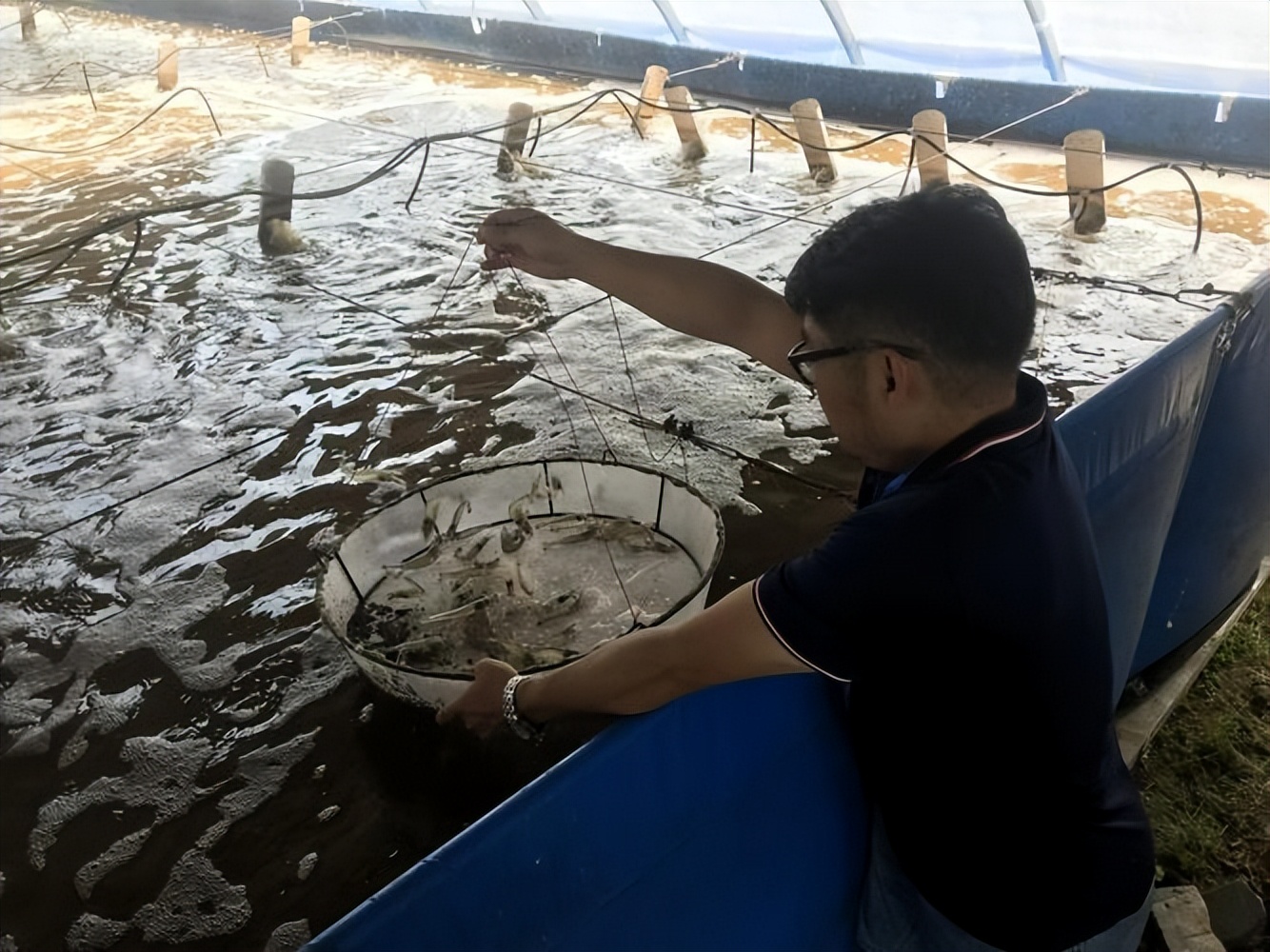 海关查到美国进口海水,海关查获进口海水