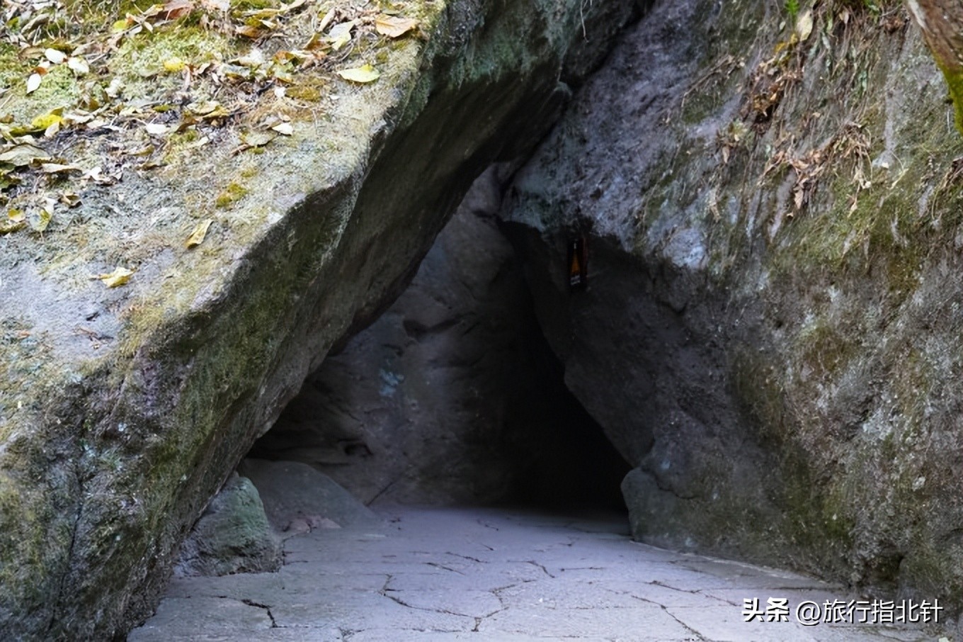 福建旅游攻略武夷山,福建武夷山旅游攻略一日游