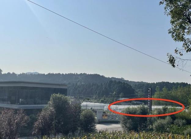 四川阆中金喜珠宝,阆中市金喜珠宝加工厂事件