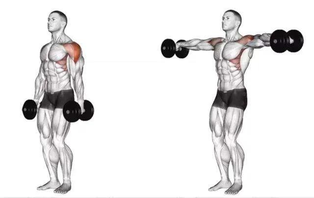 一周健身增肌训练计划,哑铃家庭一周训练计划