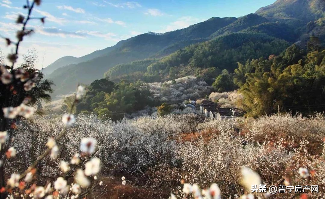 推进体育场馆建设,市体育公园建设项目正有序推进