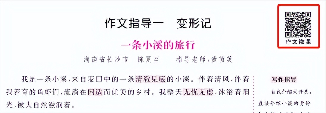 语文学练优人教版购买,小学学练优语文人教版下册