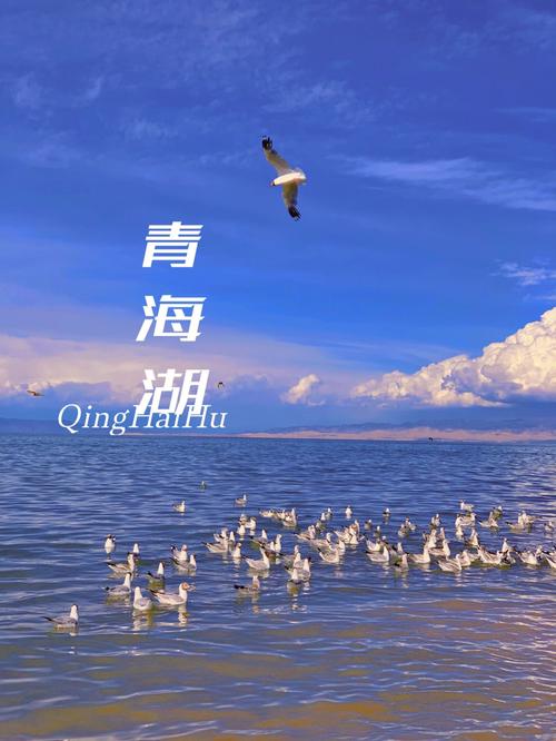 青海湖的美景感受,青海湖必去的景点及攻略