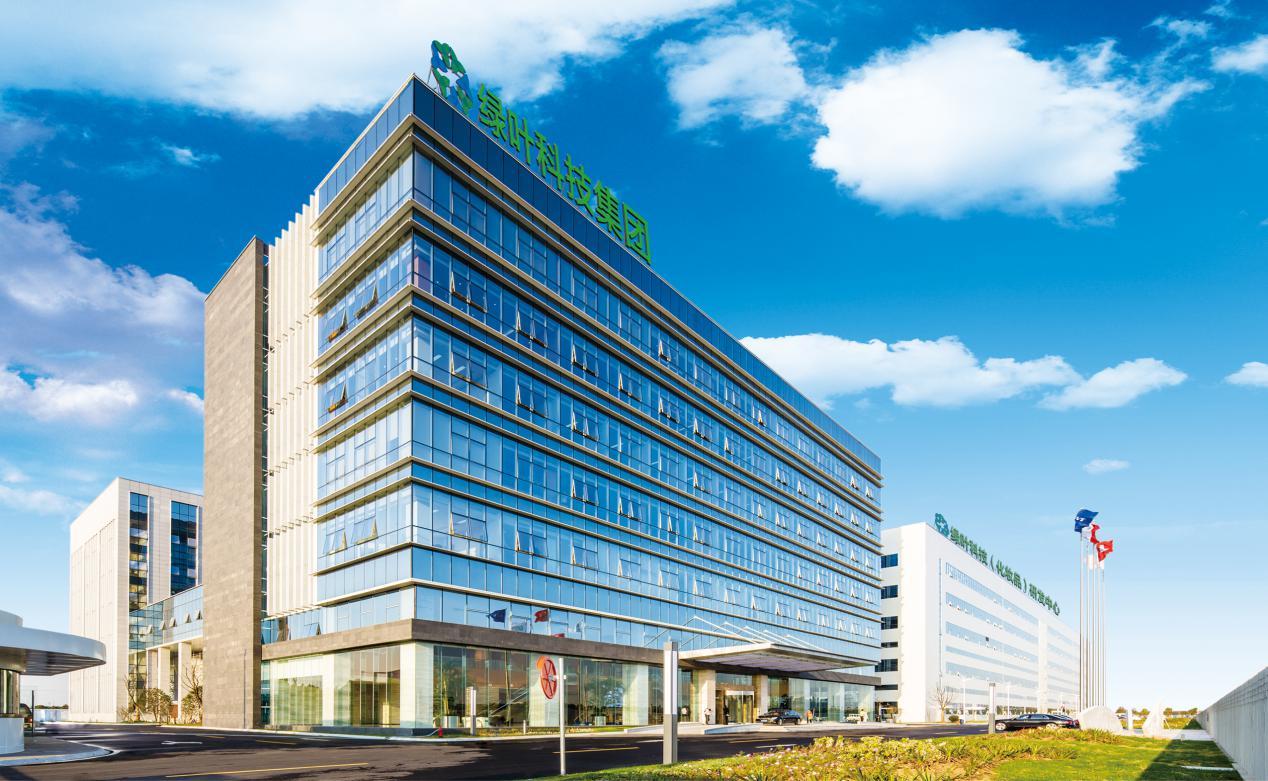 绿叶新零售枫叶,绿叶新零售图标