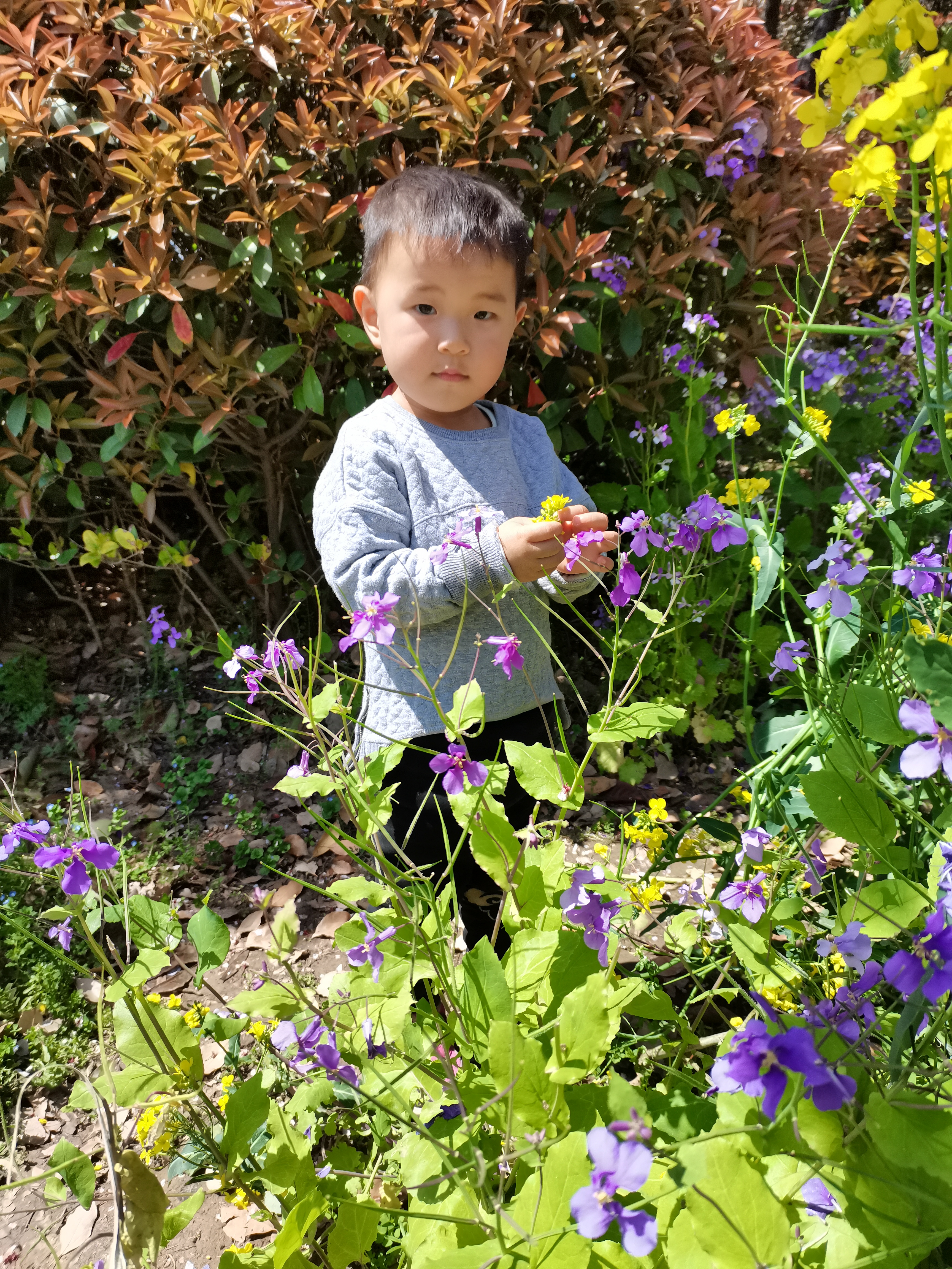 两周岁孩子不会说话怎么回事,孩子迟迟不说话