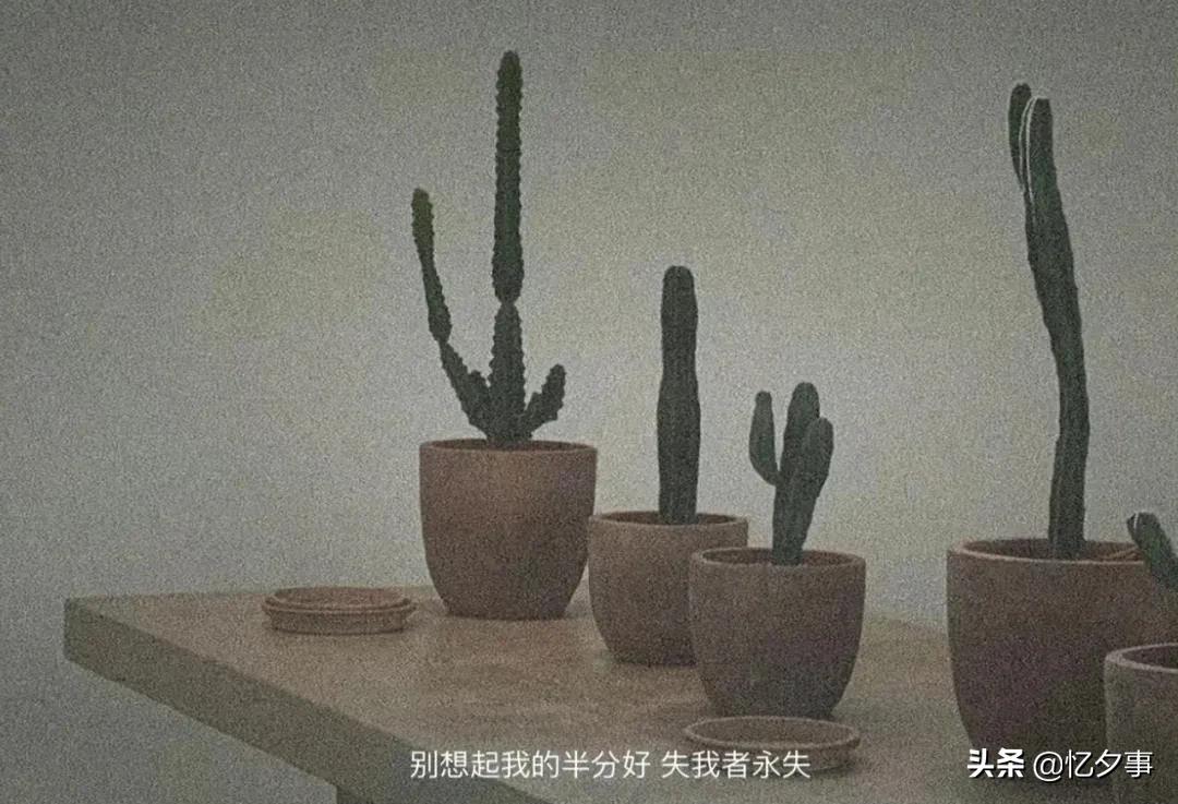 情感文案众人适用,情感文案人人有苦衷