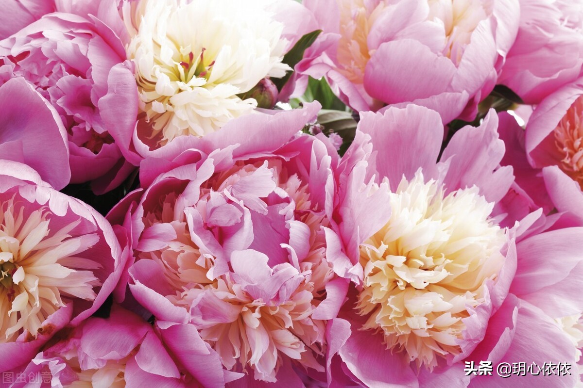 这些星座把自己活成财神爷，内心强大能力出众，心如真金光耀众生