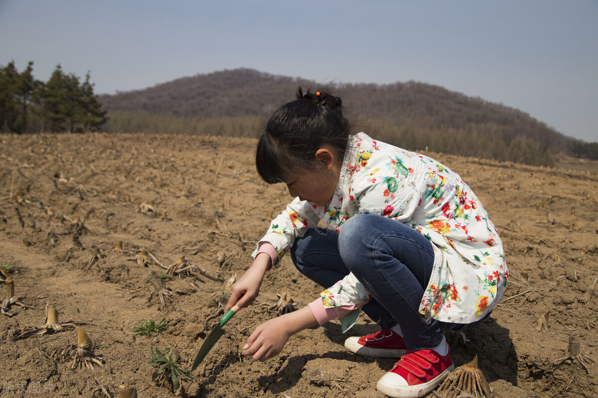 同义词语使用，彰显汉字魅力