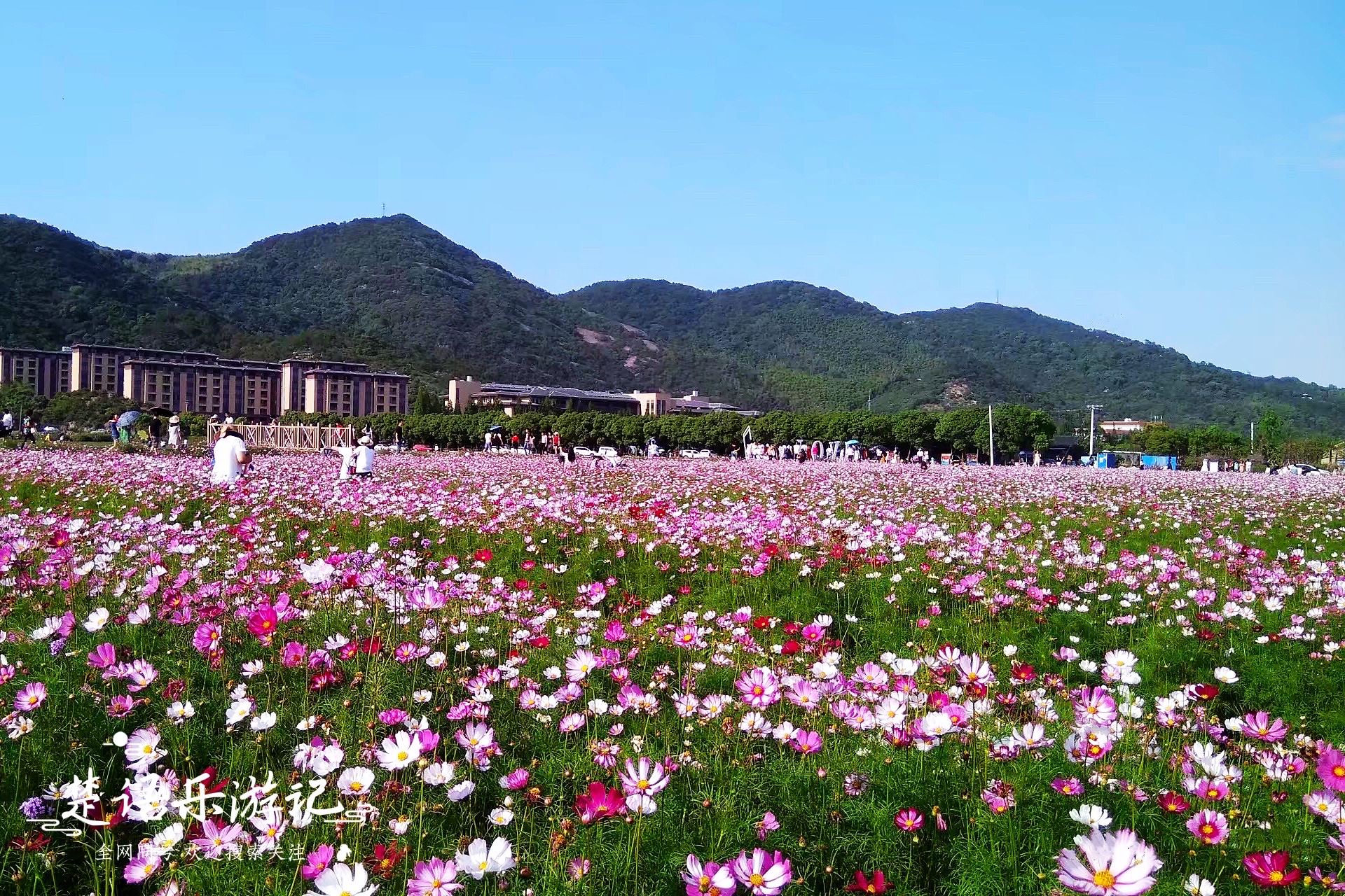 宁波这个网红景点不仅有花海，原来还是露营胜地，湖光山色美如画