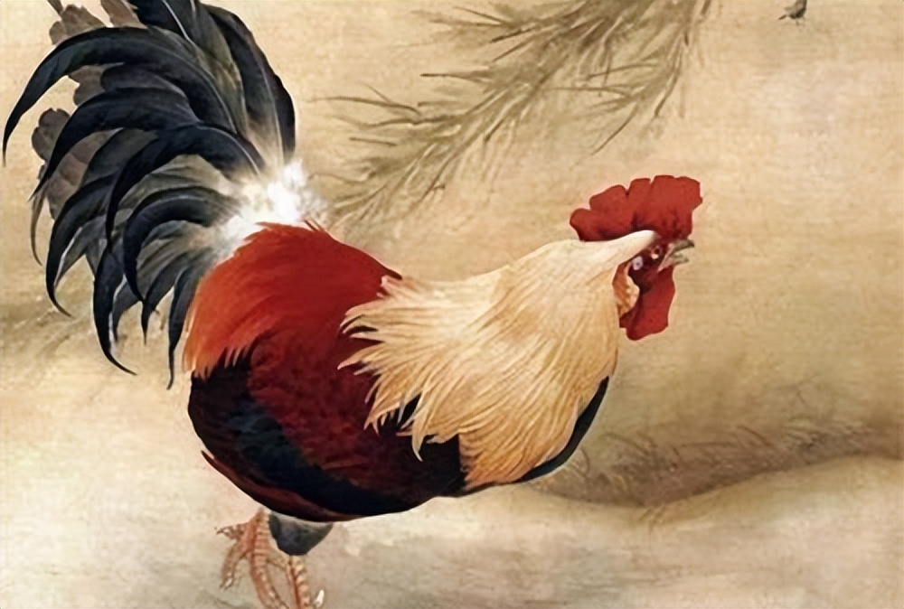 这三大生肖女穷人娶回家都能富裕,最能娶回家的三个生肖女