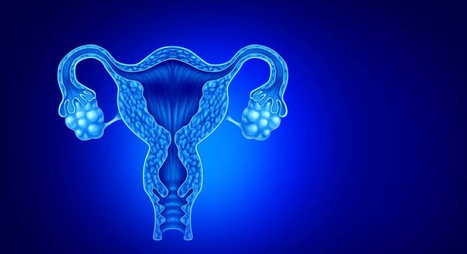 派特灵派特生物科普｜妇科须知：子宫内膜息肉的检查方法