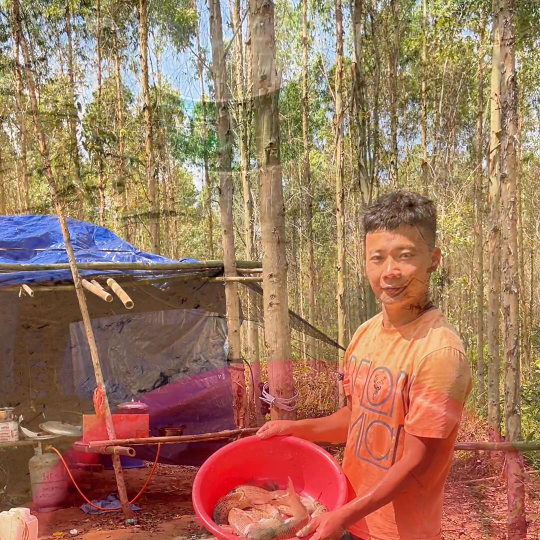 养羊的快乐视频,养羊的一天生活