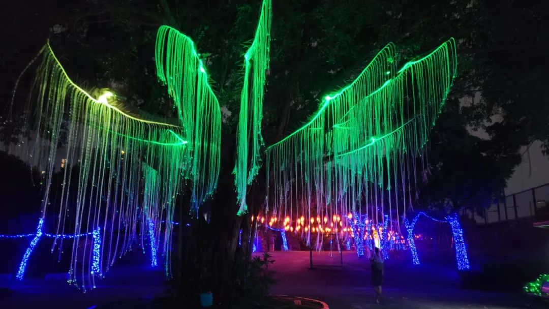 恢复开园！12种玩法带你玩转深圳观澜湖生态运动公社