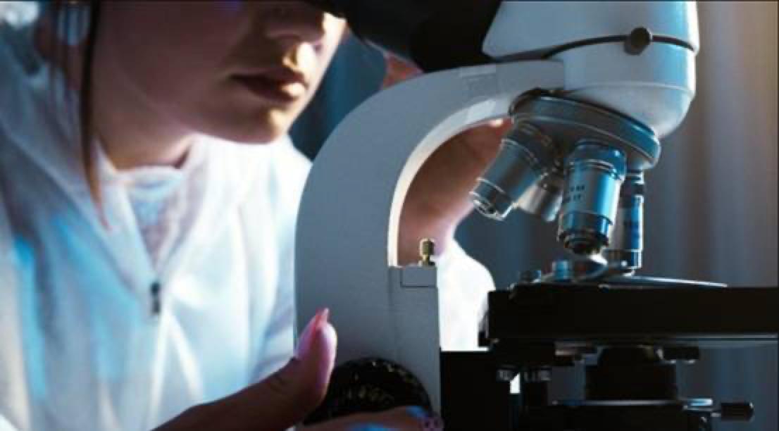 蠕虫杀死癌细胞,日本蠕虫癌细胞