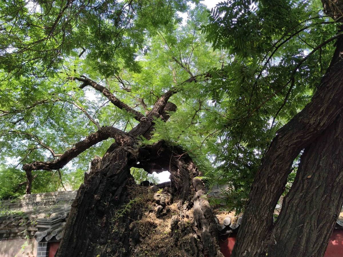 进淄赶烤一路飘香,进淄赶烤风雨无阻