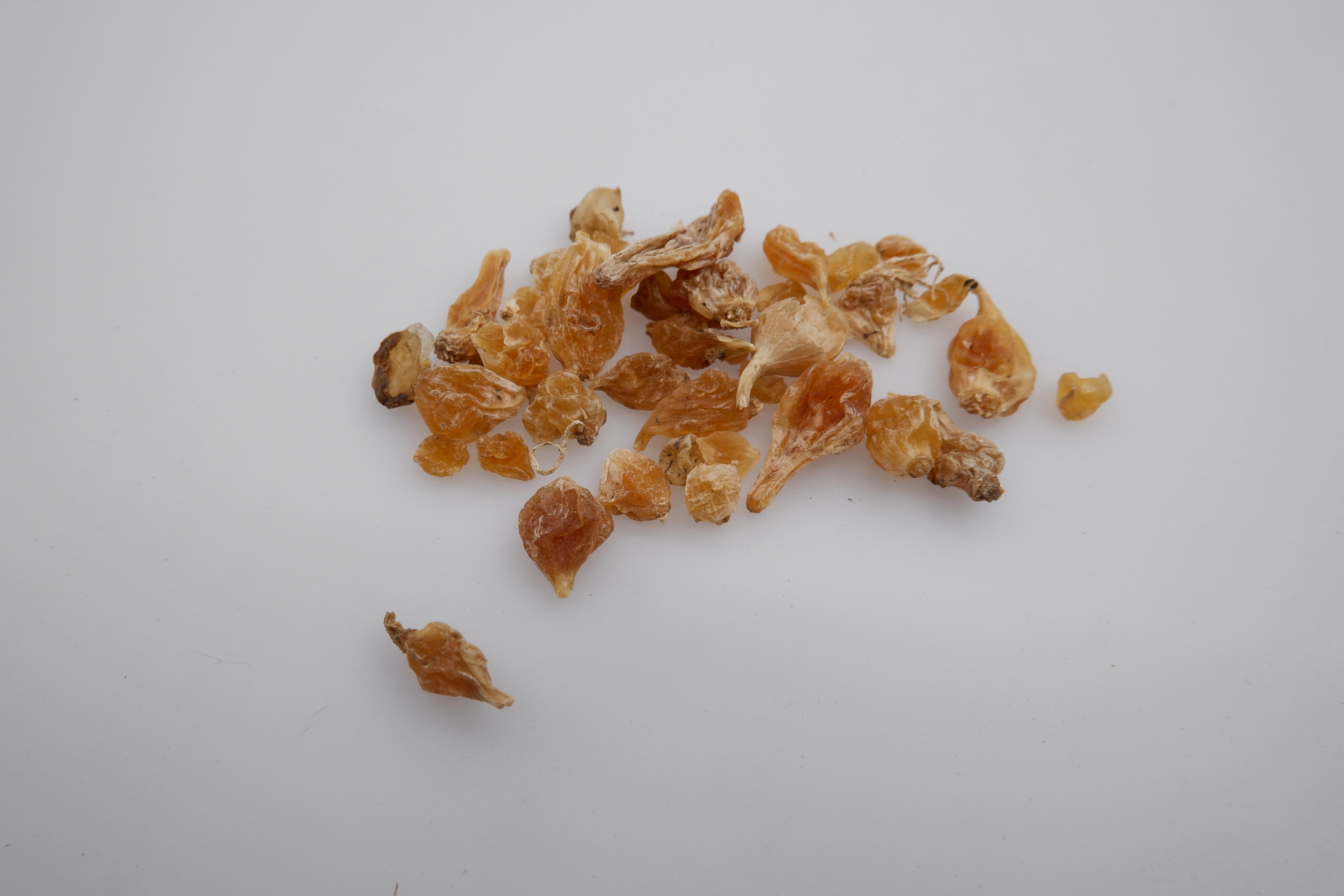 抗癌四种野菜大全,藜蒿十大抗癌野菜