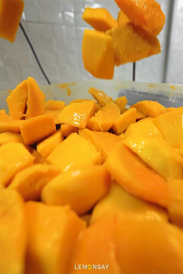 用6个芒果瓶子可以做什么,3斤芒果可以做多少芒果干