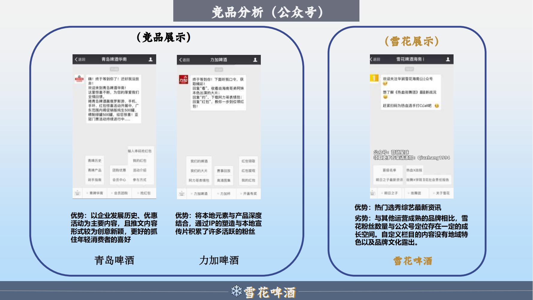 雪花啤酒品牌策划方案范文ppt,品牌啤酒的营销策划书