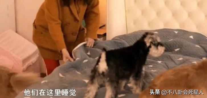 80后港台大龄未婚女明星,来内地养老的七位港星