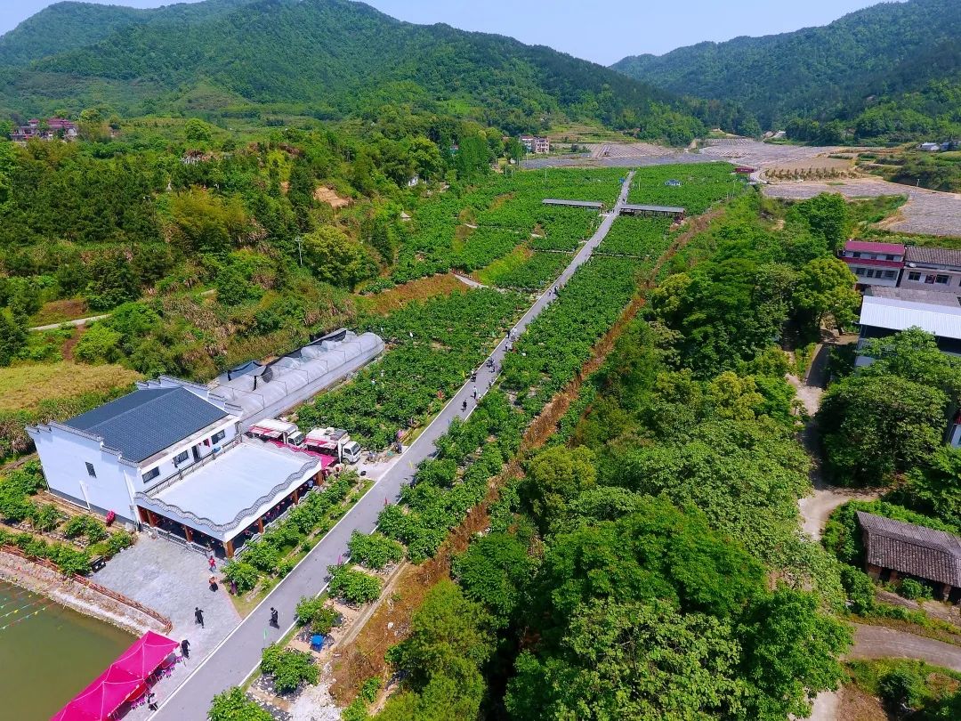 全国十大乡镇综合实力排名,全国10强镇排名