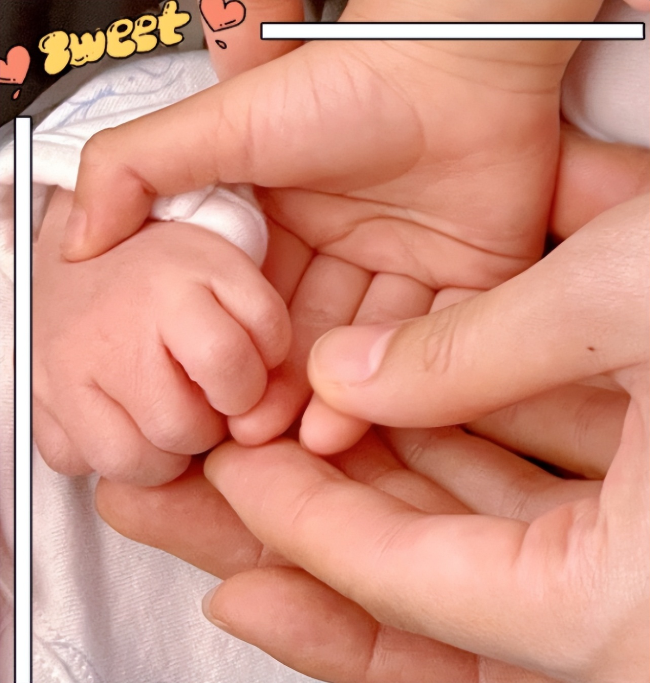 浙江台主持人温雅,温雅怀孕了么